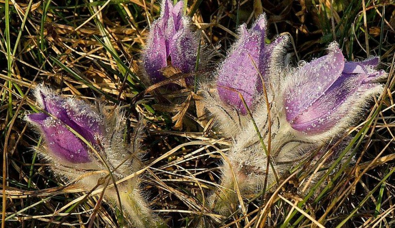 Penzion Havelka Železná Ruda